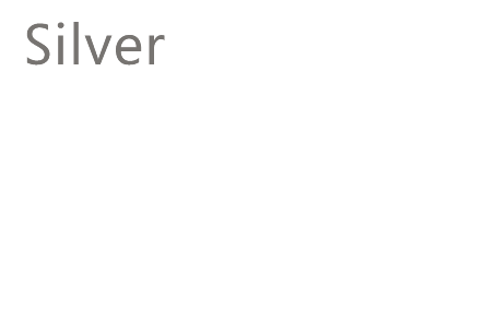 Microsoft Silver Partner Image